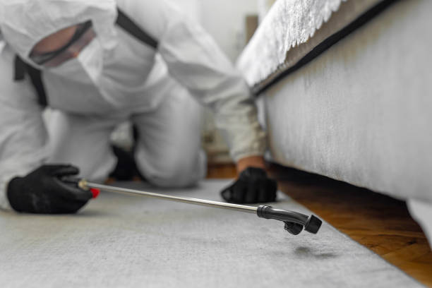 Professional Cockroach Control technician working in Clark County County, MO